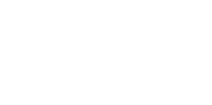 wob partner logo