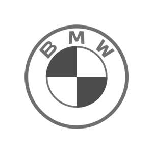 BMW Grey Colour 2