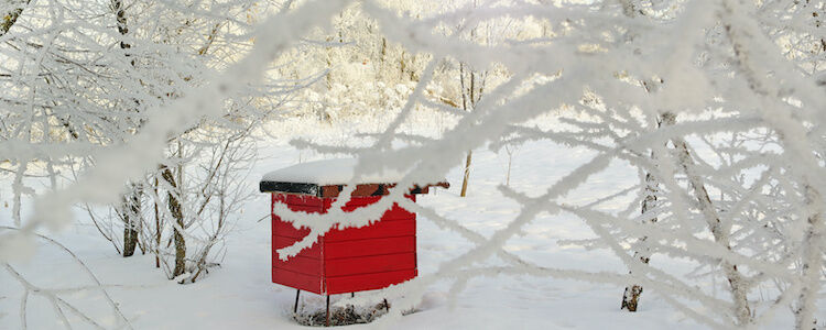 Red beehive in the winter.