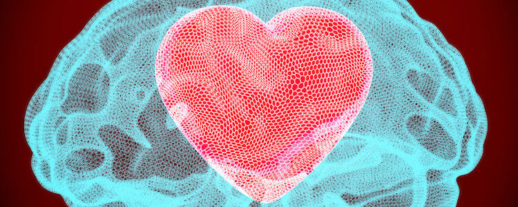 Heart inside brain, smart love concept. 3D rendering